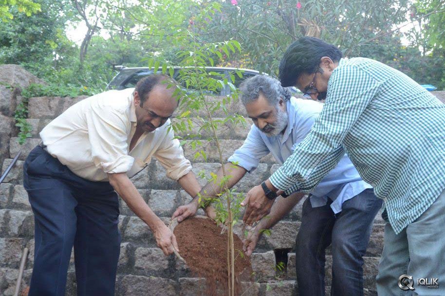 -Venkatesh-At-Haritha-Haaram-Event